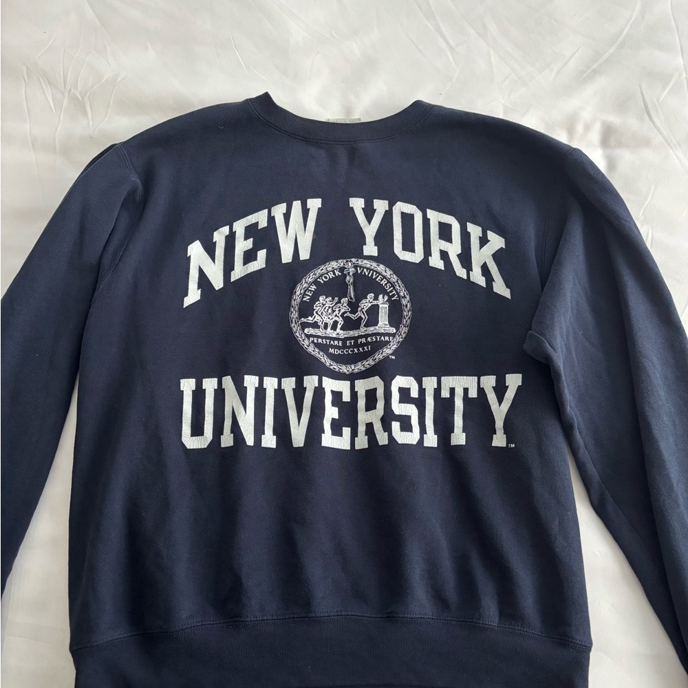 Champion Blue Crewneck Sweater